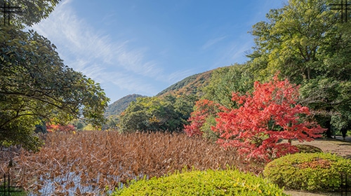 栗林公園